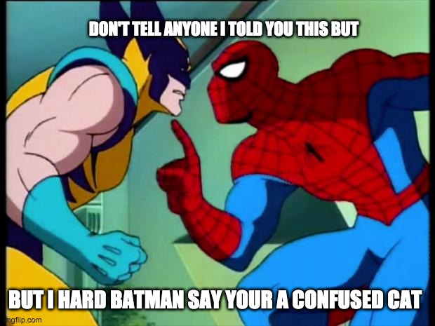 By Arnie, your friend and salesman | DON'T TELL ANYONE I TOLD YOU THIS BUT; BUT I HARD BATMAN SAY YOUR A CONFUSED CAT | image tagged in spiderman,sales,cats | made w/ Imgflip meme maker