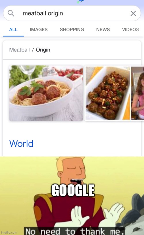 Why google | GOOGLE | image tagged in meatball,no need to thank me | made w/ Imgflip meme maker