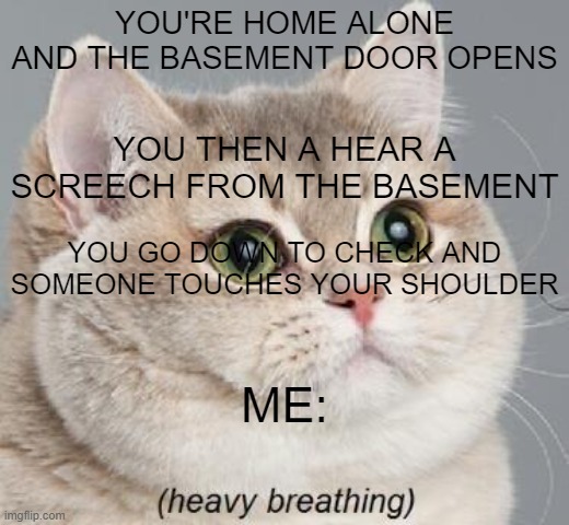 ........................... | YOU'RE HOME ALONE AND THE BASEMENT DOOR OPENS; YOU THEN A HEAR A SCREECH FROM THE BASEMENT; YOU GO DOWN TO CHECK AND SOMEONE TOUCHES YOUR SHOULDER; ME: | image tagged in memes,heavy breathing cat | made w/ Imgflip meme maker