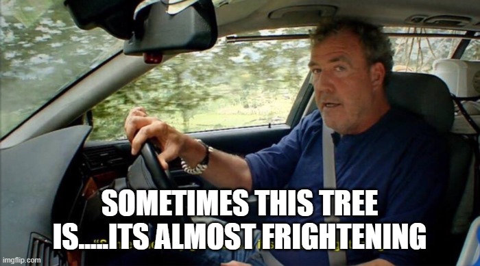 sometimes my genius is... it's almost frightening | SOMETIMES THIS TREE IS.....ITS ALMOST FRIGHTENING | image tagged in sometimes my genius is it's almost frightening | made w/ Imgflip meme maker