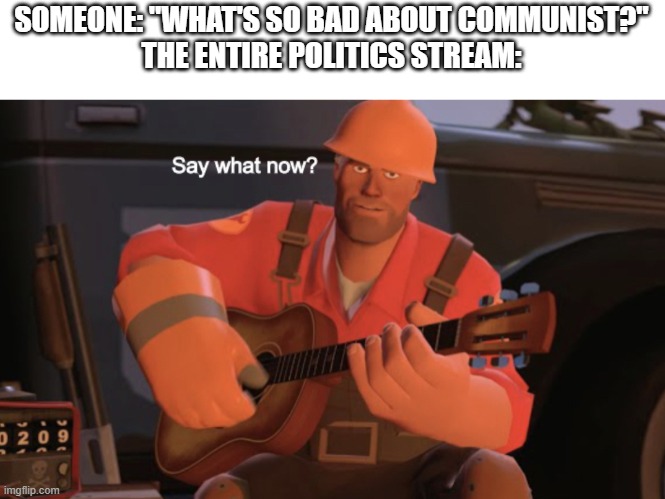 Say what now? | SOMEONE: "WHAT'S SO BAD ABOUT COMMUNIST?"
THE ENTIRE POLITICS STREAM: | image tagged in say what now | made w/ Imgflip meme maker