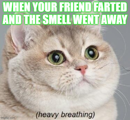 Heavy Breathing Cat Meme | WHEN YOUR FRIEND FARTED AND THE SMELL WENT AWAY | image tagged in memes,heavy breathing cat | made w/ Imgflip meme maker