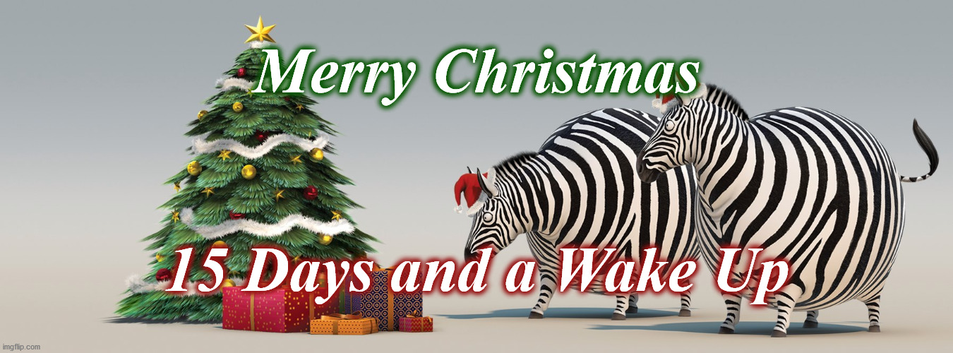 christmas | Merry Christmas; 15 Days and a Wake Up | image tagged in christmas | made w/ Imgflip meme maker
