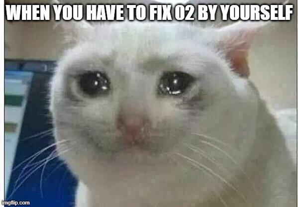 Everyone was busy doing tasks... :( | WHEN YOU HAVE TO FIX 02 BY YOURSELF | image tagged in crying cat | made w/ Imgflip meme maker