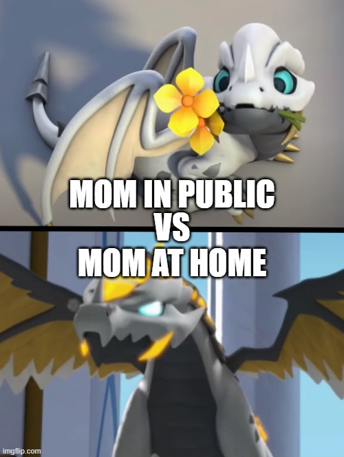It's true and if you say I'm wrong your lying | VS; MOM IN PUBLIC; MOM AT HOME | image tagged in tiny to strong,dragon | made w/ Imgflip meme maker