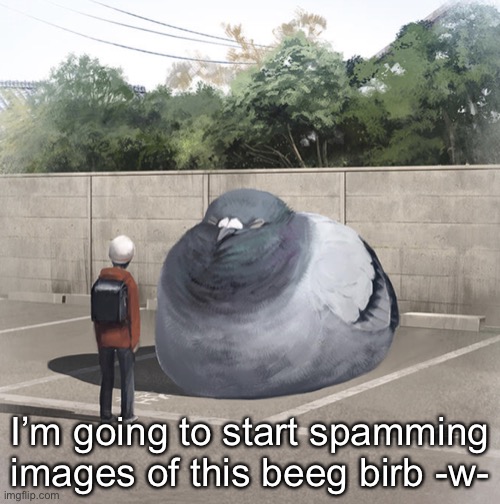 Beeg Birb | I’m going to start spamming images of this beeg birb -w- | image tagged in beeg birb | made w/ Imgflip meme maker