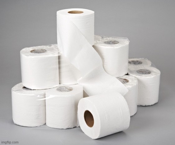 toilet paper | image tagged in toilet paper | made w/ Imgflip meme maker