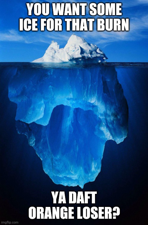 iceberg | YOU WANT SOME ICE FOR THAT BURN YA DAFT ORANGE LOSER? | image tagged in iceberg | made w/ Imgflip meme maker