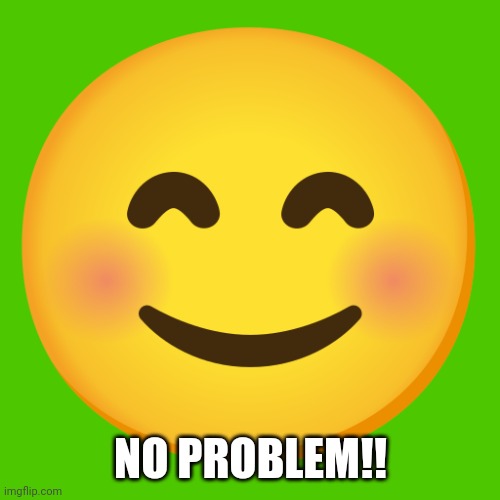 Cute Smiley Face Emoji | NO PROBLEM!! | image tagged in cute smiley face emoji | made w/ Imgflip meme maker