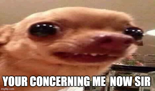 u core me | YOUR CONCERNING ME  NOW SIR | image tagged in concerned | made w/ Imgflip meme maker