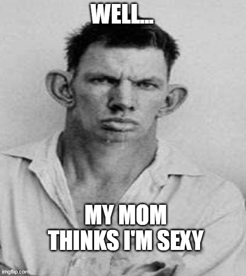 WELL... MY MOM THINKS I'M SEXY | image tagged in blank white template | made w/ Imgflip meme maker