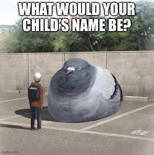 Beeg Birb | WHAT WOULD YOUR CHILD’S NAME BE? | image tagged in beeg birb | made w/ Imgflip meme maker