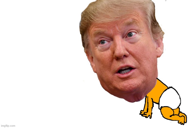 i made this drawing on krita and had to share it | image tagged in donald trump,baby,baby trump | made w/ Imgflip meme maker