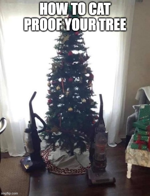 CAT PROOF | HOW TO CAT PROOF YOUR TREE | image tagged in cat | made w/ Imgflip meme maker