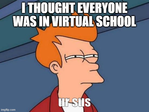 Futurama Fry Meme | I THOUGHT EVERYONE WAS IN VIRTUAL SCHOOL ur sus | image tagged in memes,futurama fry | made w/ Imgflip meme maker