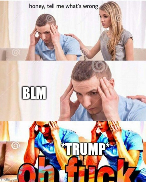honey whats wrong | BLM; *TRUMP* | image tagged in honey whats wrong | made w/ Imgflip meme maker