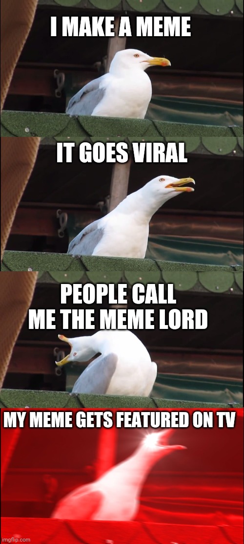 Crazy seagul | I MAKE A MEME; IT GOES VIRAL; PEOPLE CALL ME THE MEME LORD; MY MEME GETS FEATURED ON TV | image tagged in memes,inhaling seagull | made w/ Imgflip meme maker