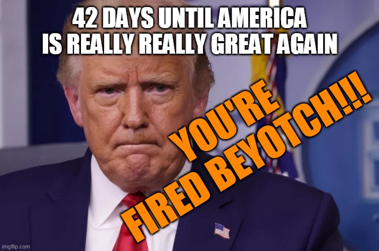 42 days until america is really really great again! | 42 DAYS UNTIL AMERICA IS REALLY REALLY GREAT AGAIN; YOU'RE FIRED BEYOTCH!!! | image tagged in trumptard | made w/ Imgflip meme maker