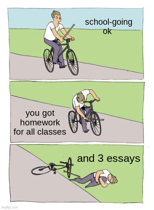everyday of my life | school-going ok; you got homework for all classes; and 3 essays | image tagged in memes,bike fall | made w/ Imgflip meme maker