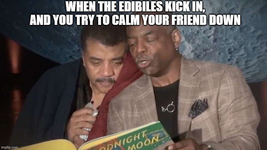 WHEN THE EDIBILES KICK IN, AND YOU TRY TO CALM YOUR FRIEND DOWN | image tagged in weed,cannabis,marijuana,too damn high | made w/ Imgflip meme maker