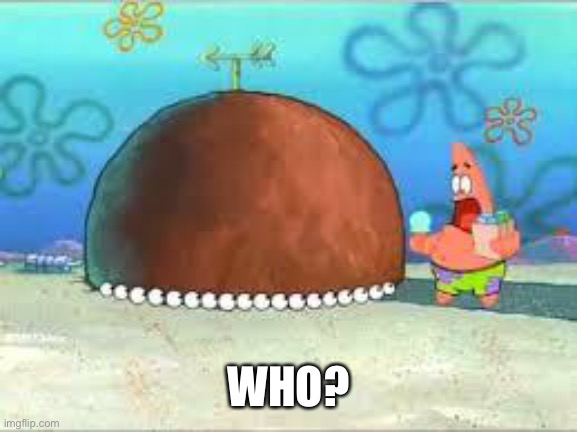 WHO ARE YOU PEOPLE? | WHO? | image tagged in who are you people | made w/ Imgflip meme maker