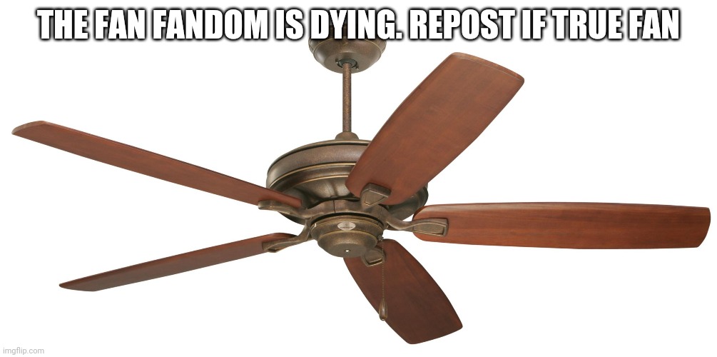 Ceiling fan | THE FAN FANDOM IS DYING. REPOST IF TRUE FAN | image tagged in haha change the tags go brrrr | made w/ Imgflip meme maker