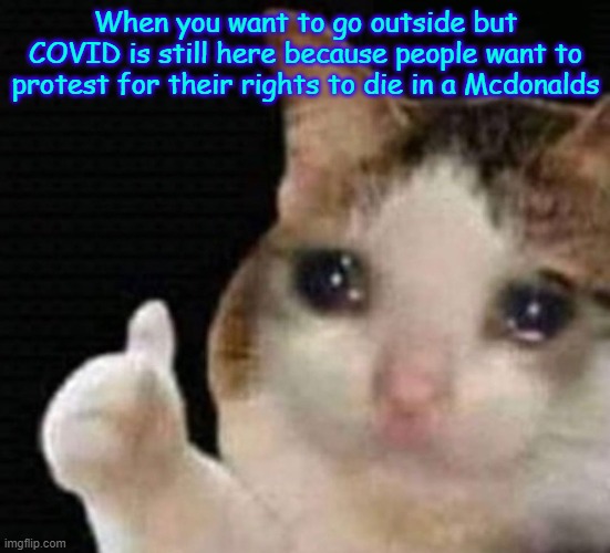 Crying Cat with Thumbs | When you want to go outside but COVID is still here because people want to protest for their rights to die in a Mcdonalds | image tagged in crying cat with thumbs | made w/ Imgflip meme maker