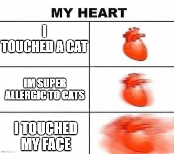 Oh No | I TOUCHED A CAT; IM SUPER ALLERGIC TO CATS; I TOUCHED MY FACE | image tagged in my heart blank | made w/ Imgflip meme maker