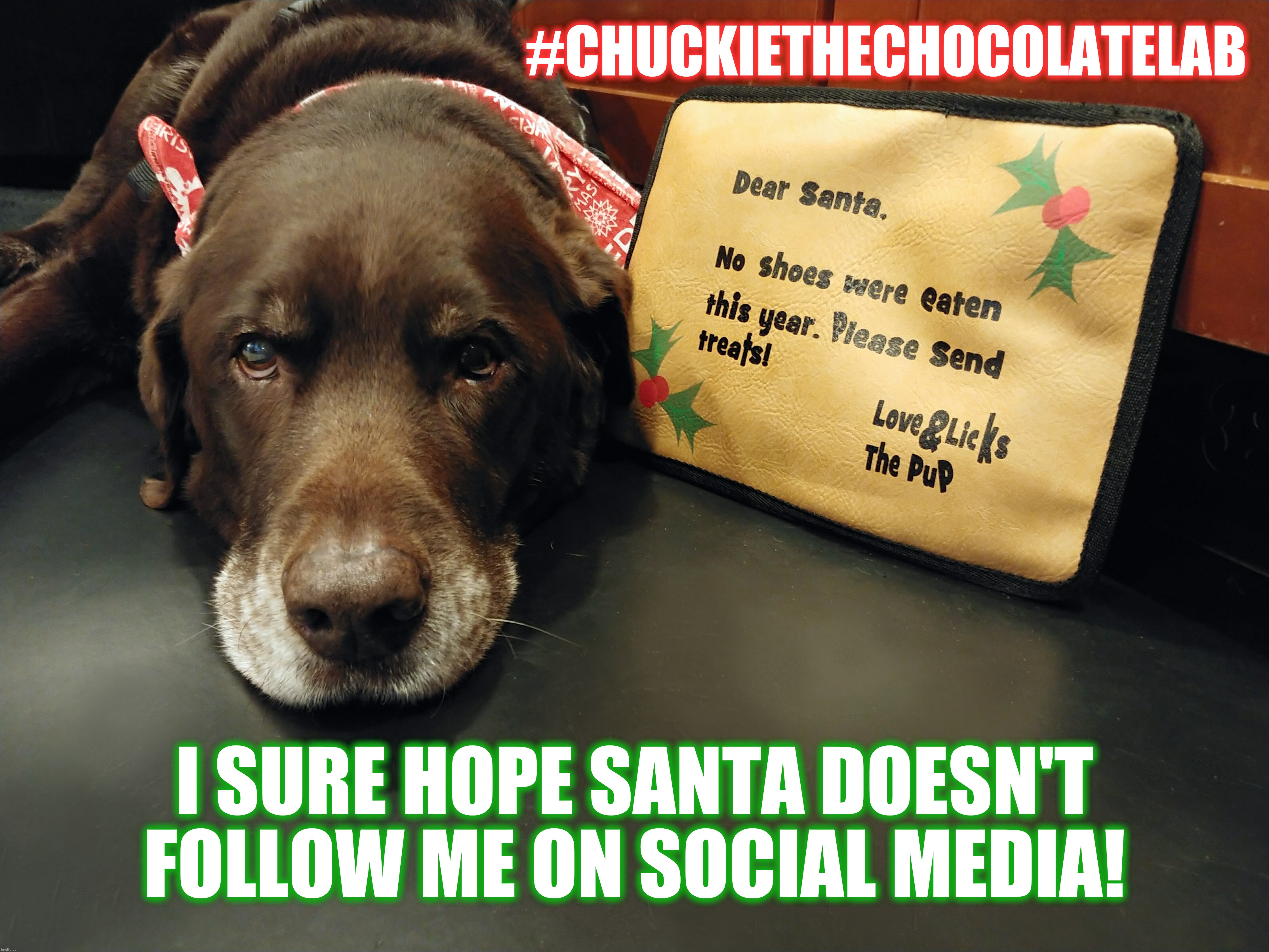 Dog letter to Santa | #CHUCKIETHECHOCOLATELAB; I SURE HOPE SANTA DOESN'T FOLLOW ME ON SOCIAL MEDIA! | image tagged in chuckie the chocolate lab,letter to santa,dear santa,dogs,christmas,memes | made w/ Imgflip meme maker