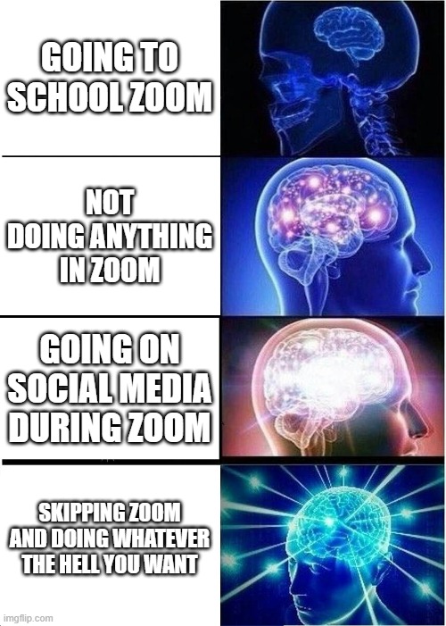 Expanding Brain Meme | GOING TO SCHOOL ZOOM; NOT DOING ANYTHING IN ZOOM; GOING ON SOCIAL MEDIA DURING ZOOM; SKIPPING ZOOM AND DOING WHATEVER THE HELL YOU WANT | image tagged in memes,expanding brain | made w/ Imgflip meme maker
