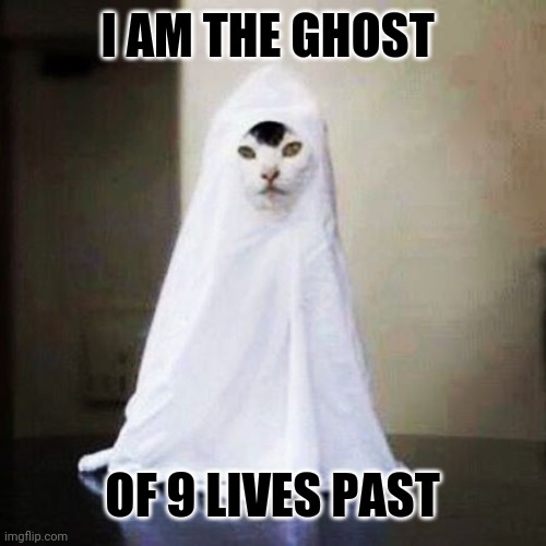 Ghost cat | I AM THE GHOST OF 9 LIVES PAST | image tagged in ghost cat | made w/ Imgflip meme maker