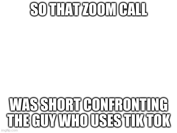 idk | SO THAT ZOOM CALL; WAS SHORT CONFRONTING THE GUY WHO USES TIK TOK | image tagged in blank white template | made w/ Imgflip meme maker