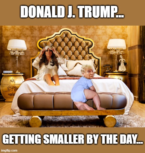 The Shrinking President | DONALD J. TRUMP... GETTING SMALLER BY THE DAY... | image tagged in donald trump,melania trump,election 2020,bye bye | made w/ Imgflip meme maker