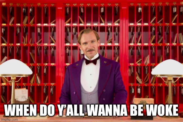 Grand Budapest Hotel | WHEN DO Y’ALL WANNA BE WOKE | image tagged in grand budapest hotel | made w/ Imgflip meme maker