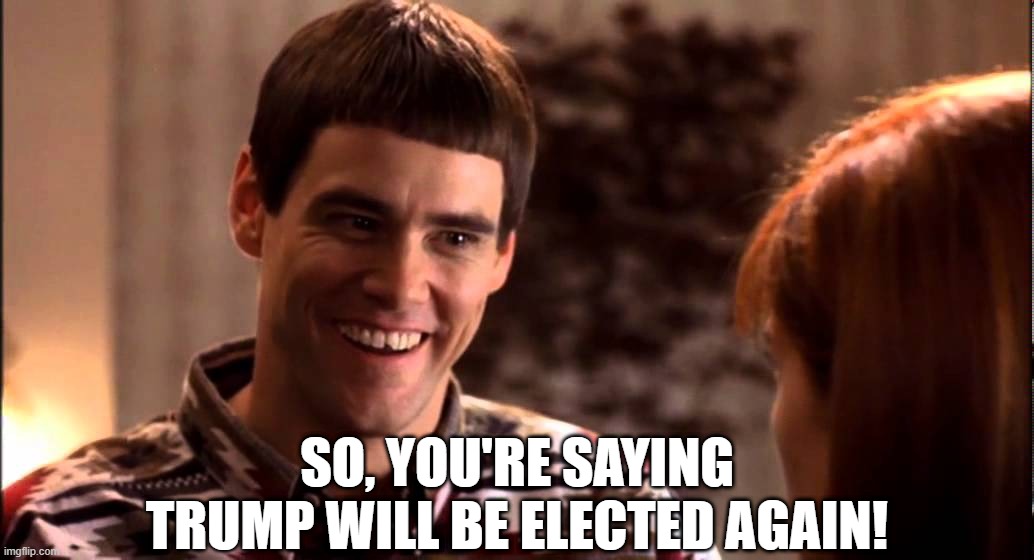 So you're saying there's a chance | SO, YOU'RE SAYING TRUMP WILL BE ELECTED AGAIN! | image tagged in so you're saying there's a chance | made w/ Imgflip meme maker