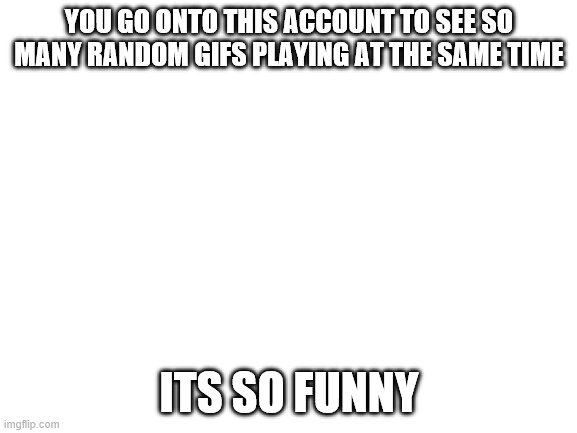 its so funny | YOU GO ONTO THIS ACCOUNT TO SEE SO MANY RANDOM GIFS PLAYING AT THE SAME TIME; ITS SO FUNNY | image tagged in blank white template | made w/ Imgflip meme maker