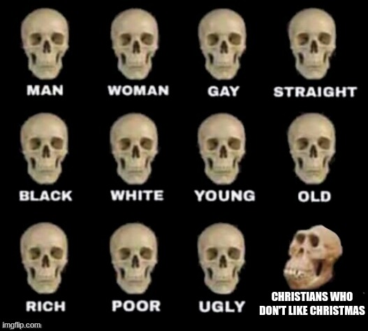 idiot skull | CHRISTIANS WHO DON'T LIKE CHRISTMAS | image tagged in idiot skull | made w/ Imgflip meme maker
