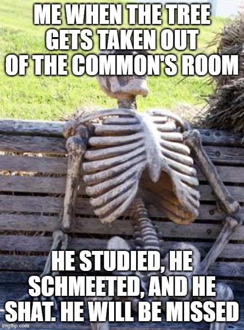 Waiting Skeleton Meme | ME WHEN THE TREE GETS TAKEN OUT OF THE COMMON'S ROOM; HE STUDIED, HE SCHMEETED, AND HE SHAT. HE WILL BE MISSED | image tagged in memes,waiting skeleton | made w/ Imgflip meme maker