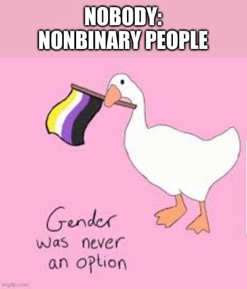 Of course, when I say "never", I don't mean NEVER | NOBODY:
NONBINARY PEOPLE | made w/ Imgflip meme maker
