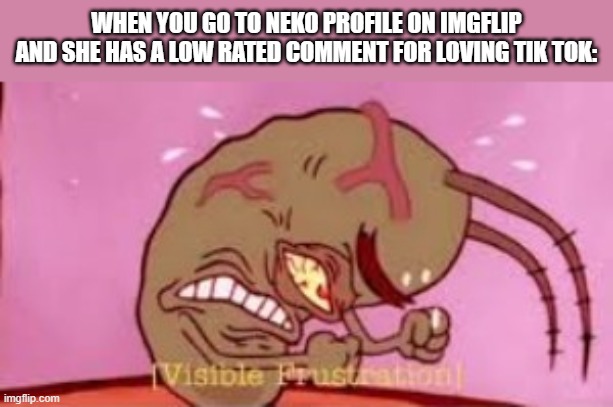 ATTENTION USER WE CAUGHT NEKO GOING TO TIK TOK | WHEN YOU GO TO NEKO PROFILE ON IMGFLIP AND SHE HAS A LOW RATED COMMENT FOR LOVING TIK TOK: | image tagged in visible frustration,user,anime,tiktok | made w/ Imgflip meme maker