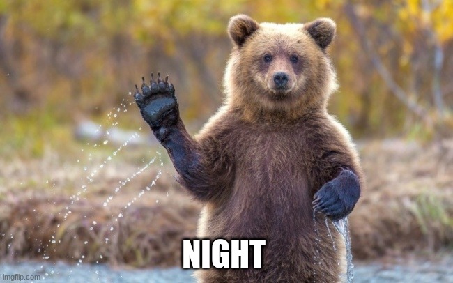 bye bye bear | NIGHT | image tagged in bye bye bear | made w/ Imgflip meme maker