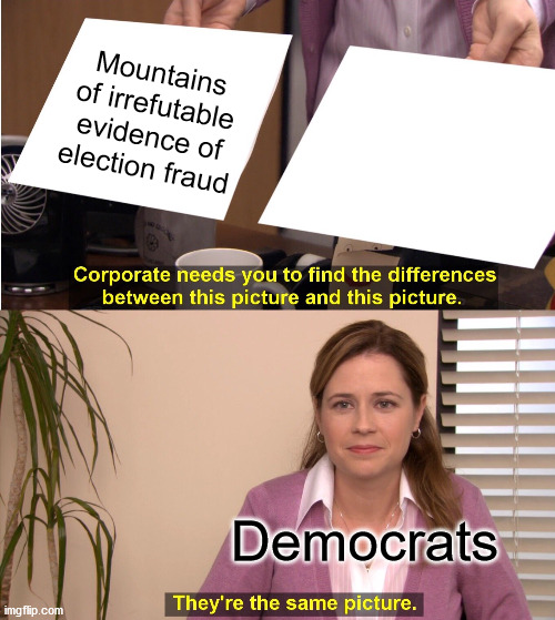 If I close my eyes then I can't see it. | Mountains of irrefutable evidence of election fraud; Democrats | image tagged in memes,they're the same picture,voter fraud,election 2020,democrats | made w/ Imgflip meme maker
