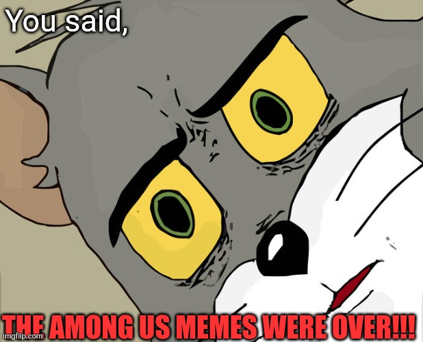 Unsettled Tom Meme | You said, THE AMONG US MEMES WERE OVER!!! | image tagged in memes,unsettled tom | made w/ Imgflip meme maker