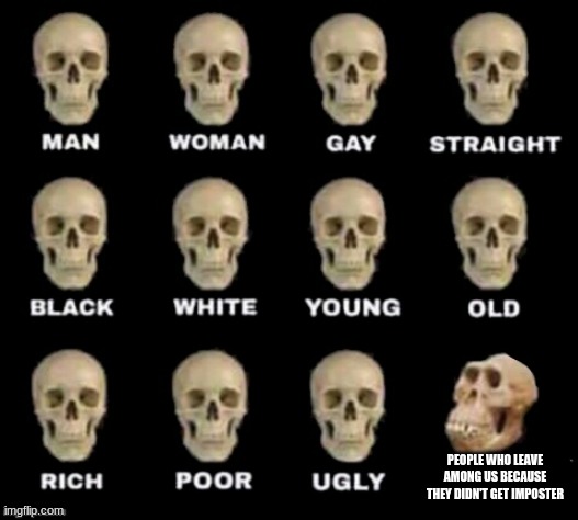 idiot skull | PEOPLE WHO LEAVE AMONG US BECAUSE THEY DIDN'T GET IMPOSTER | image tagged in idiot skull | made w/ Imgflip meme maker