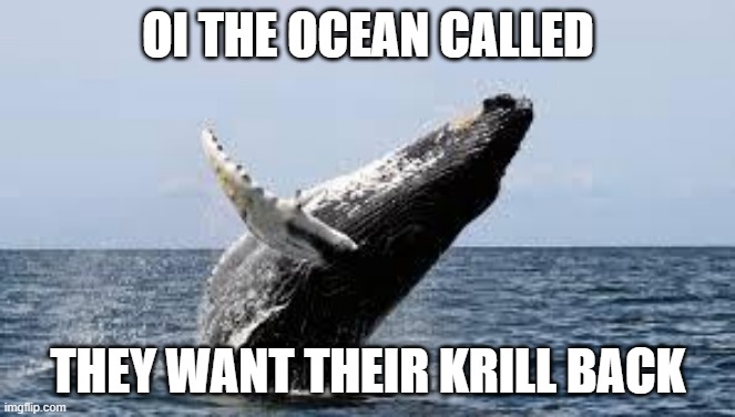 Whale. | OI THE OCEAN CALLED; THEY WANT THEIR KRILL BACK | image tagged in whale | made w/ Imgflip meme maker
