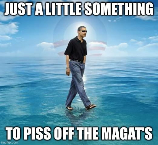 #44 | JUST A LITTLE SOMETHING; TO PISS OFF THE MAGAT'S | image tagged in obama,democrat,maga | made w/ Imgflip meme maker