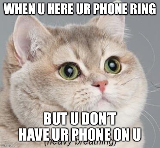 Heavy Breathing Cat Meme | WHEN U HERE UR PHONE RING; BUT U DON’T HAVE UR PHONE ON U | image tagged in memes,heavy breathing cat | made w/ Imgflip meme maker