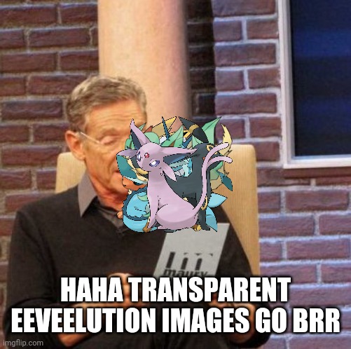 Maury Lie Detector Meme | HAHA TRANSPARENT EEVEELUTION IMAGES GO BRR | image tagged in memes,maury lie detector | made w/ Imgflip meme maker