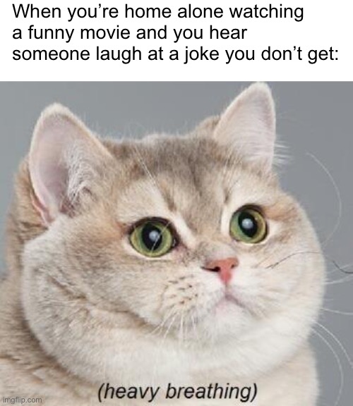 Heavy Breathing Cat Meme | When you’re home alone watching a funny movie and you hear someone laugh at a joke you don’t get: | image tagged in memes,heavy breathing cat | made w/ Imgflip meme maker