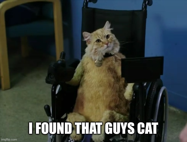 I FOUND THAT GUYS CAT | made w/ Imgflip meme maker